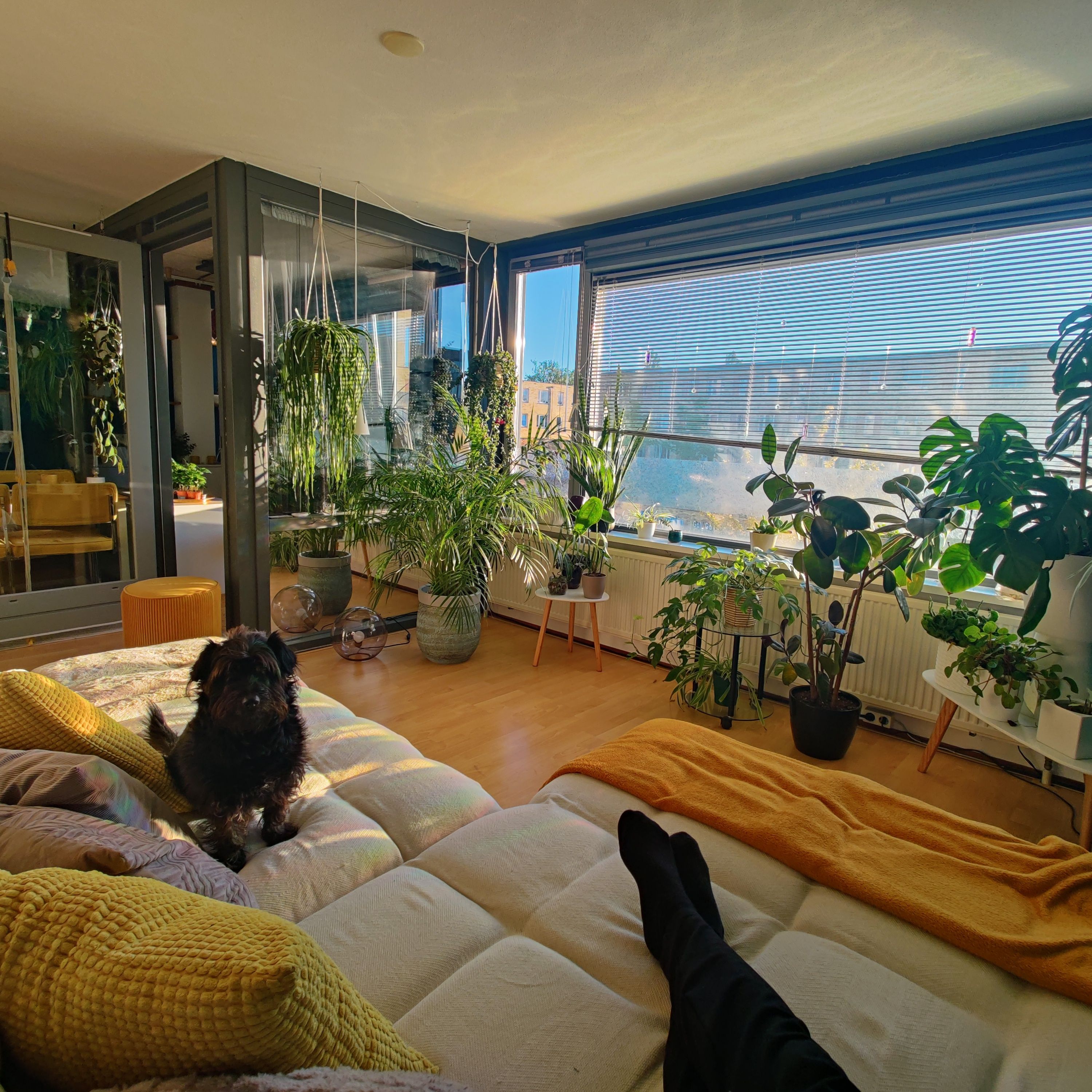 slider_image_2